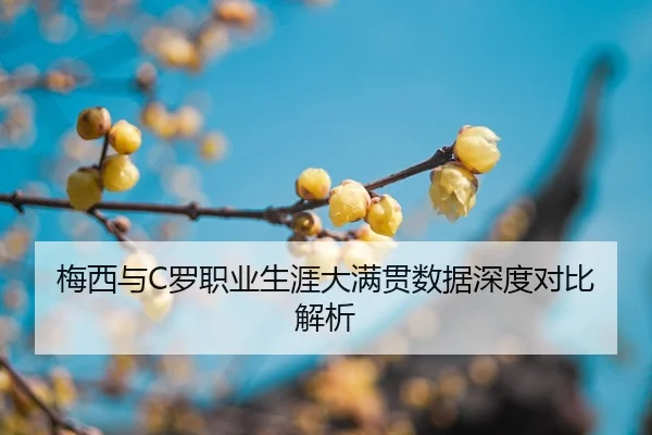 mei-xi-yu-luo-zhi-ye-sheng-ya-da-man-guan-shu-ju-shen-du-dui-bi-jie-xi-2-159.jpg