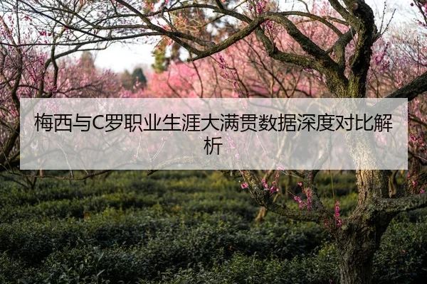 梅西与C罗职业生涯大满贯数据深度对比解析